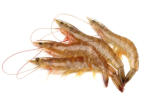 crevettes cuites