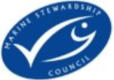 logo mc